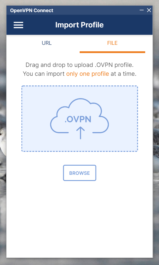 How To Guide: Set Up & Configure OpenVPN Client/server VPN