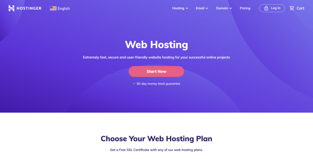 Hostinger web hosting plan