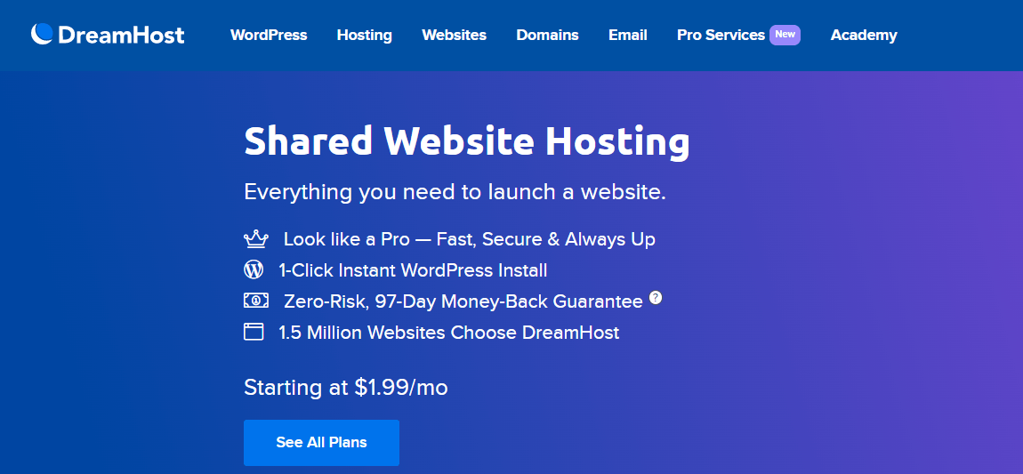 Shared Website Hosting

