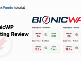 bionicwp hosting-reveiw