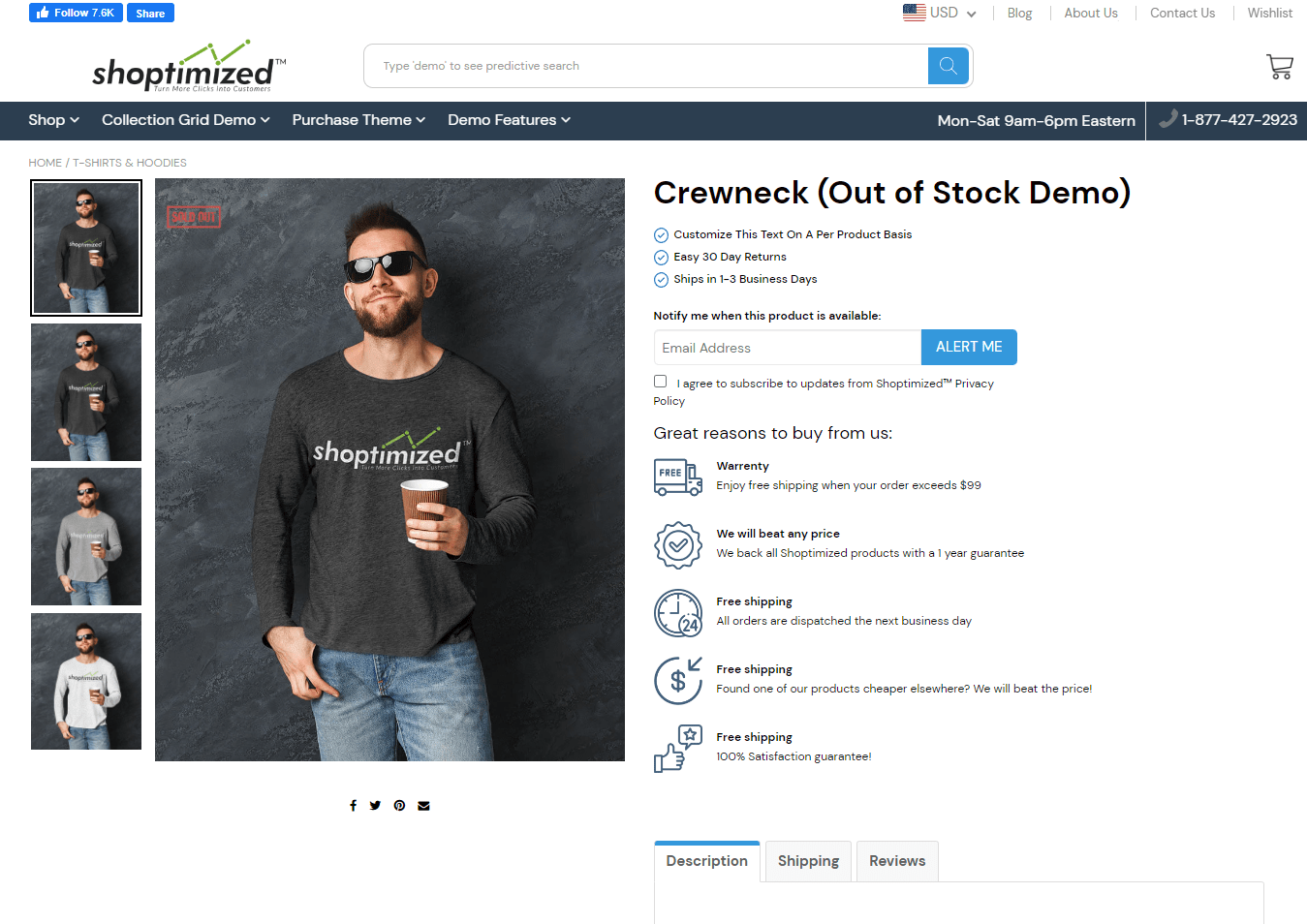 Shoptimized  product page demo store