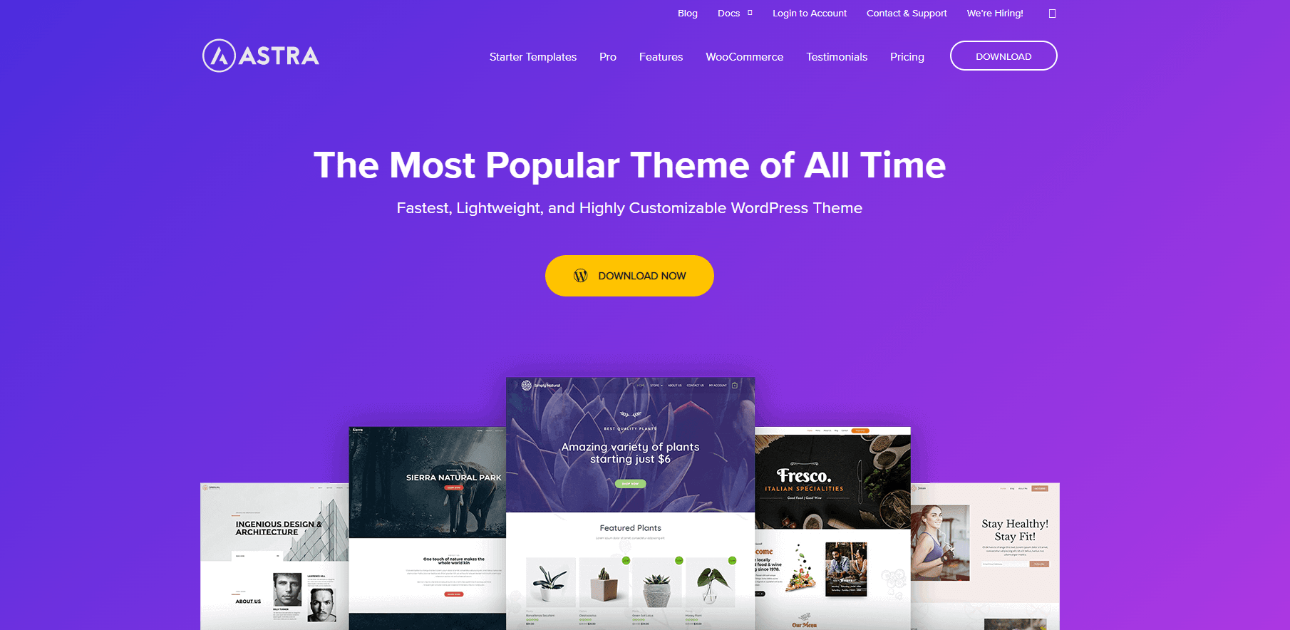 Astra WooCommerce Theme