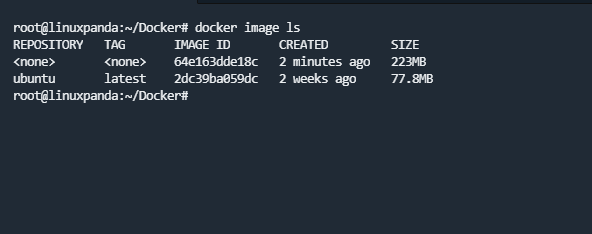 Build a Docker Image