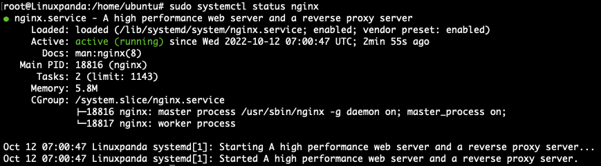 Install and Configure Nginx Reverse Proxy