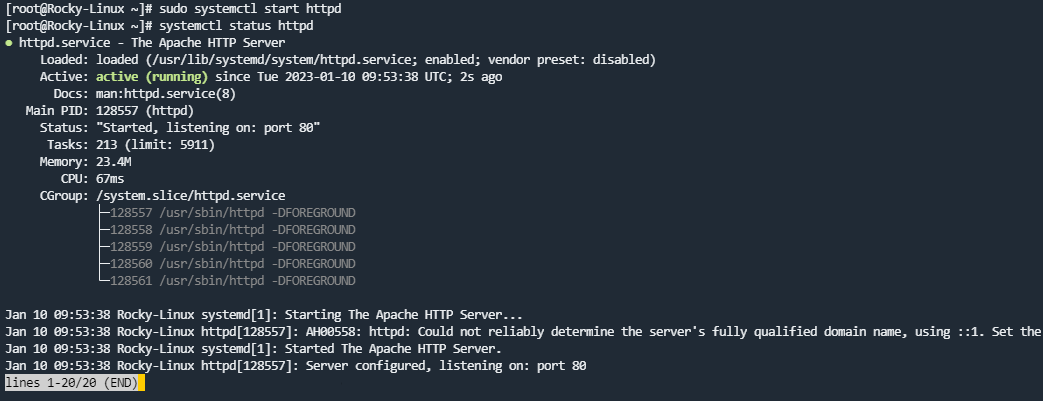 HTTP and HTTPS traffic