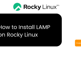 Install LAMP on Rocky Linux